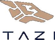 Tazi.ai